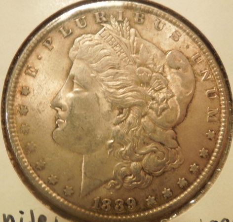 Help-Grading-An-1889-Morgan-Dollar